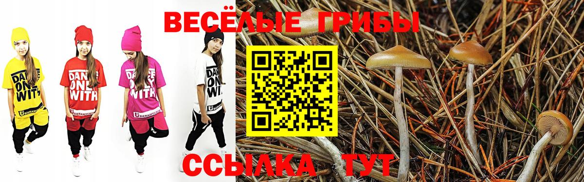 Псилоцибиновые грибы GOLDEN TEACHER Анжеро-Судженск