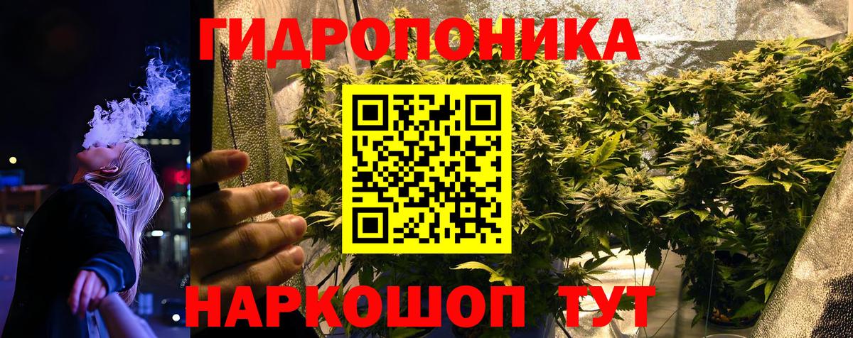 Бошки Шишки планчик  Бошки Шишки MAZAR  Каннабис марихуана  Вход с VPN  МАРИХУАНА ГИДРОПОН  Анжеро-Судженск 